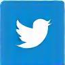Icône Twitter